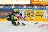 12.9.2014 - (Ilves-Tappara) kuva: 16