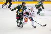 12.9.2014 - (Ilves-Tappara) kuva: 17