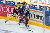 17.9.2014 - (Tappara-SaiPa) kuva: 23