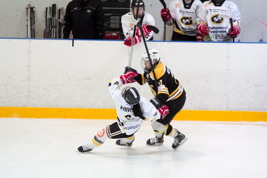 17.1.2015 - (Ilves N-Kärpät N)