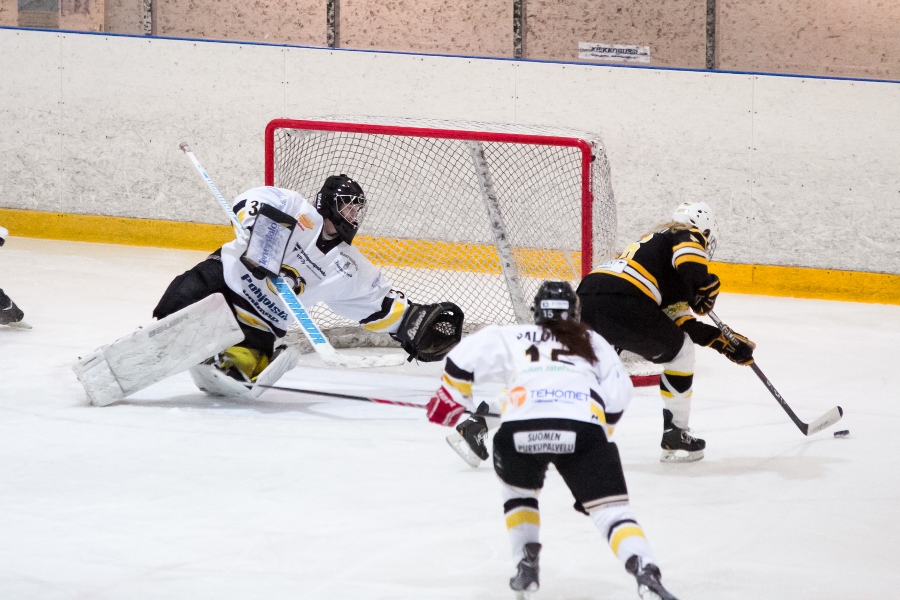 17.1.2015 - (Ilves N-Kärpät N)