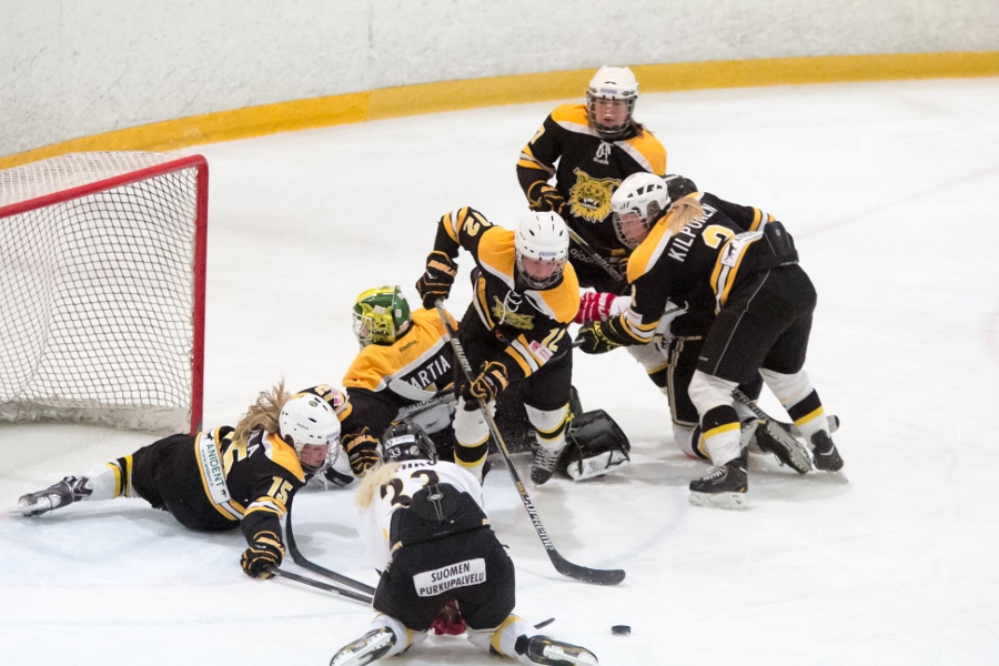 17.1.2015 - (Ilves N-Kärpät N)