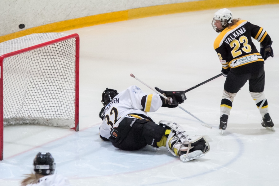 17.1.2015 - (Ilves N-Kärpät N)