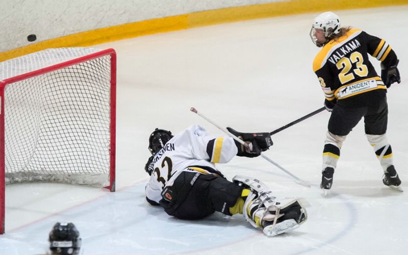 17.1.2015 - (Ilves N-Kärpät N)