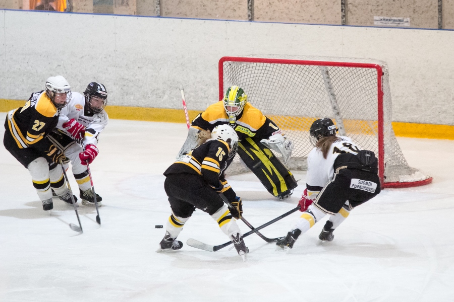 17.1.2015 - (Ilves N-Kärpät N)