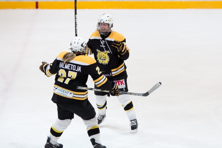 17.1.2015 - (Ilves N-Kärpät N)