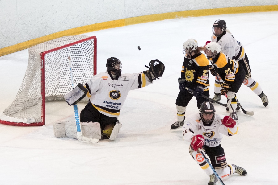 17.1.2015 - (Ilves N-Kärpät N)