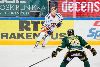 13.11.2015 - Ilves-Tappara kuva: 3