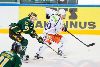 13.11.2015 - Ilves-Tappara kuva: 6