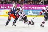 24.2.2015 - (Tappara-Ässät) kuva: 2