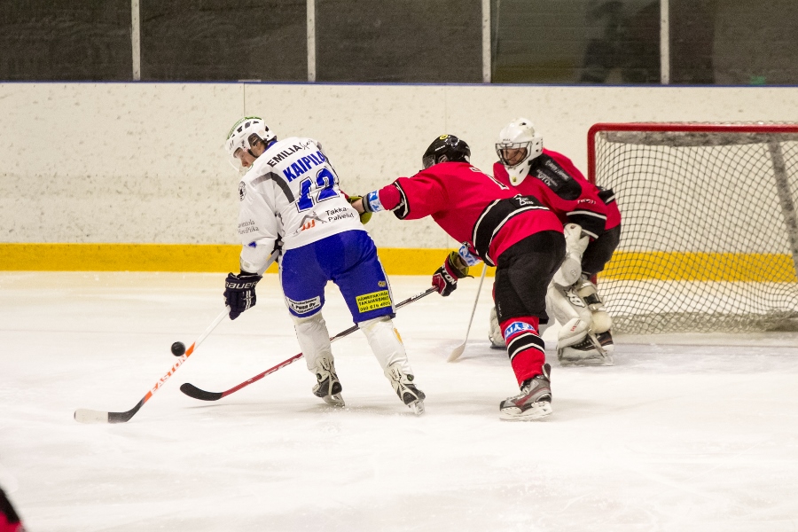 07.02.2015 - Hokkarit-Panthers