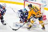 10.4.2015 - Tappara-Lukko kuva: 24