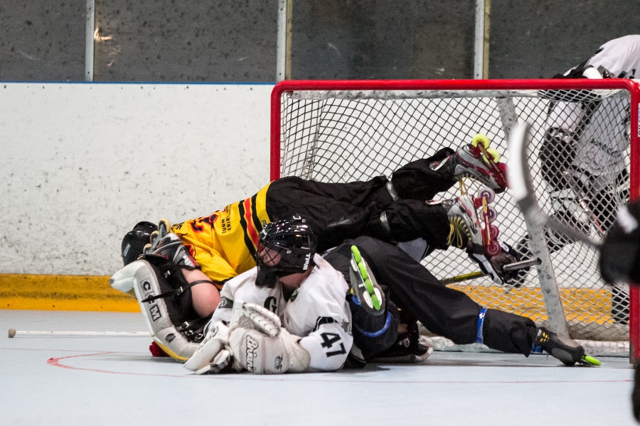 22.5.2015 - (Koovee Rollers-GrIFK)