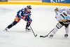 11.04.2016 - Tappara-Kärpät kuva: 28