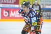 16.04.2016 - Tappara-HIFK kuva: 21