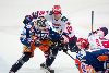 16.04.2016 - Tappara-HIFK kuva: 41