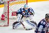 16.04.2016 - Tappara-HIFK kuva: 43