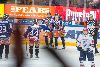 26.04.2016 - Tappara-HIFK kuva: 17