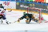 8.1.2014 - (Ilves-HPK) kuva: 6