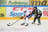 8.1.2014 - (Ilves-HPK) kuva: 9