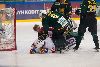 29.2.2012 - (Ilves A-Jokerit A) kuva: 4