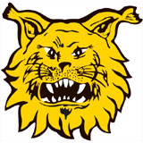 Ilves - logo