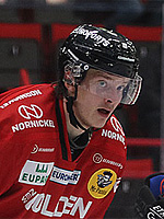 Niklas Peltomäki - kuva