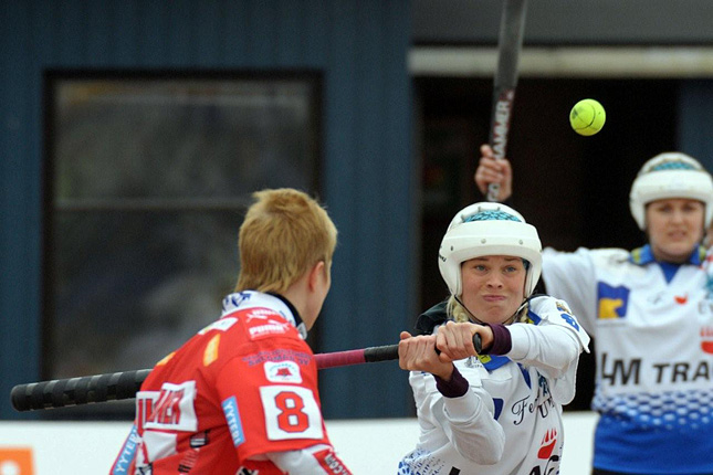 27.4.2008 - (Rauma-Pesäkarhut)