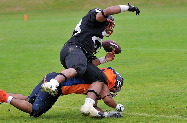 4.7.2009 - (Bears-69ers)