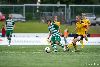 2.8.2012 - (KuPS-Bursaspor) kuva: 14