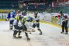 22.02.2013-(Tornado Moscow Reg. (RUS) - ZSC Lions (SUI) ) kuva: 16