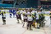 22.02.2013-(Tornado Moscow Reg. (RUS) - ZSC Lions (SUI) ) kuva: 17