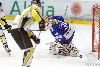 22.02.2013-(Tornado Moscow Reg. (RUS) - ZSC Lions (SUI) ) kuva: 27