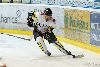 22.02.2013-(Tornado Moscow Reg. (RUS) - ZSC Lions (SUI) ) kuva: 38