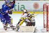 22.02.2013-(Tornado Moscow Reg. (RUS) - ZSC Lions (SUI) ) kuva: 46