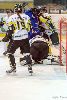 22.02.2013-(Tornado Moscow Reg. (RUS) - ZSC Lions (SUI) ) kuva: 50