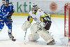 22.02.2013-(Tornado Moscow Reg. (RUS) - ZSC Lions (SUI) ) kuva: 51