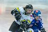 22.02.2013-(Tornado Moscow Reg. (RUS) - ZSC Lions (SUI) ) kuva: 54