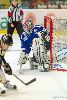 22.02.2013-(Tornado Moscow Reg. (RUS) - ZSC Lions (SUI) ) kuva: 5