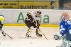 22.02.2013-(Tornado Moscow Reg. (RUS) - ZSC Lions (SUI) ) kuva: 60
