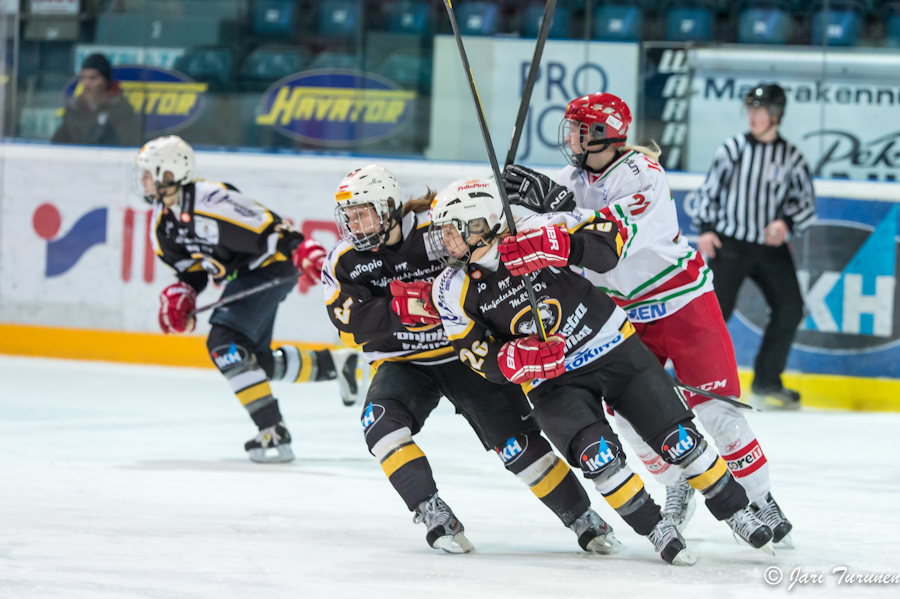 22.02.2013-( Kärpät Oulu (FIN) - Modo Hockey (SWE) )