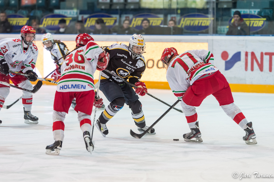 22.02.2013-( Kärpät Oulu (FIN) - Modo Hockey (SWE) )
