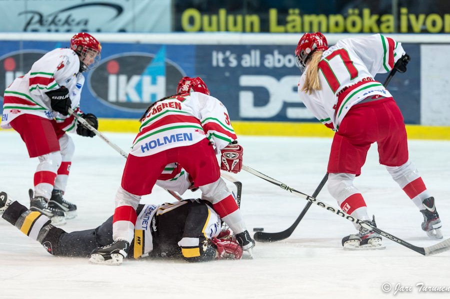 22.02.2013-( Kärpät Oulu (FIN) - Modo Hockey (SWE) )