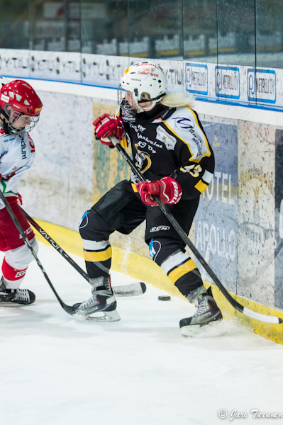 22.02.2013-( Kärpät Oulu (FIN) - Modo Hockey (SWE) )