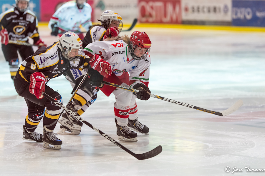 22.02.2013-( Kärpät Oulu (FIN) - Modo Hockey (SWE) )