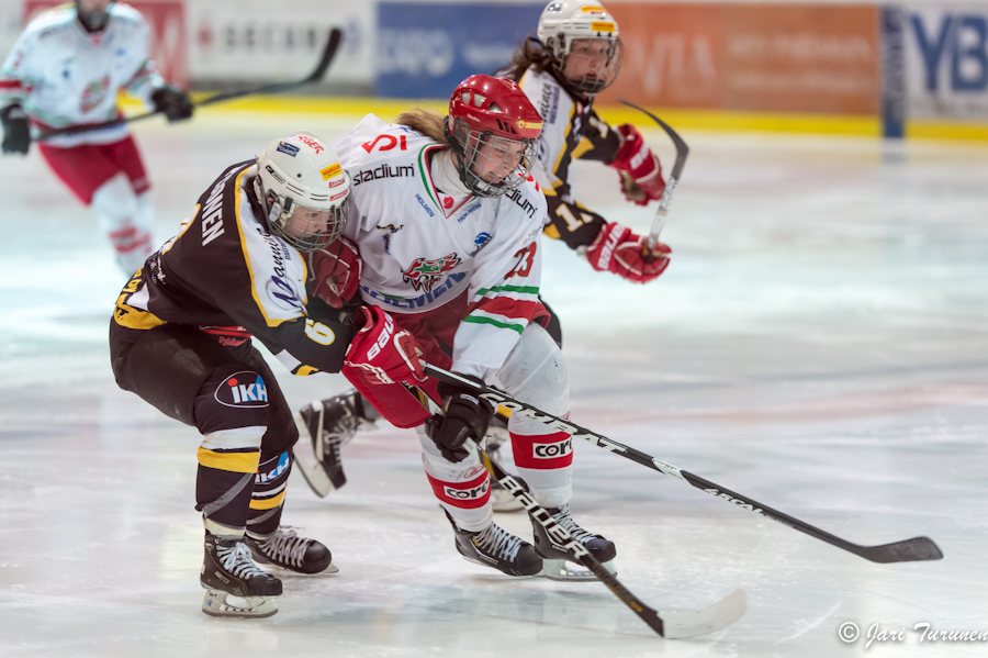 22.02.2013-( Kärpät Oulu (FIN) - Modo Hockey (SWE) )