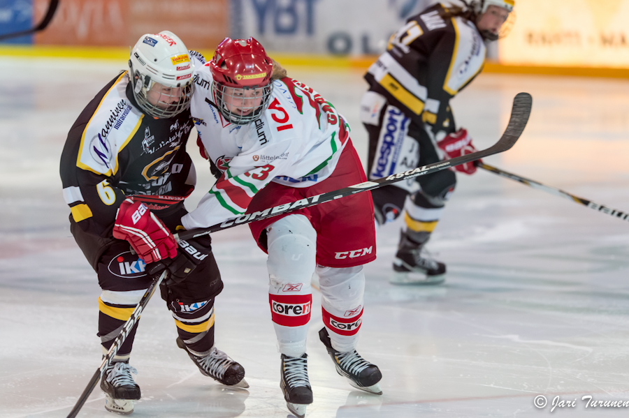 22.02.2013-( Kärpät Oulu (FIN) - Modo Hockey (SWE) )