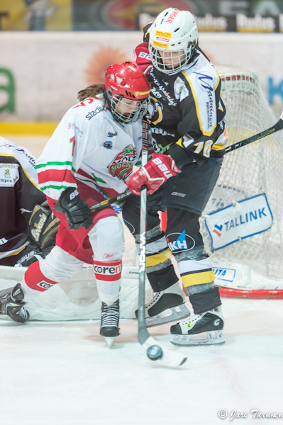 22.02.2013-( Kärpät Oulu (FIN) - Modo Hockey (SWE) )