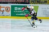 22.02.2013-( Kärpät Oulu (FIN) - Modo Hockey (SWE) ) kuva: 25