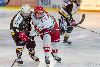 22.02.2013-( Kärpät Oulu (FIN) - Modo Hockey (SWE) ) kuva: 28